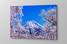 Obraz Zasnežená Hora Fuji